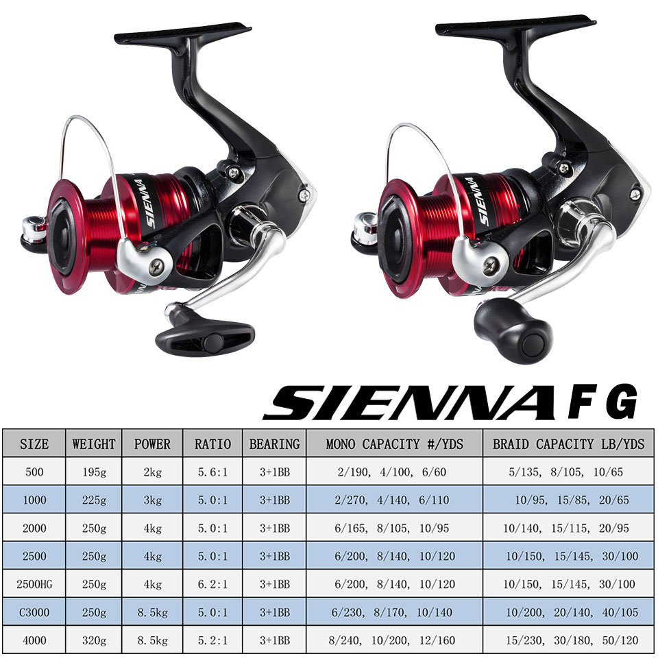 WinterMANO SIENNA Spinning Fis - Shimano Reel Sienna avis et prix